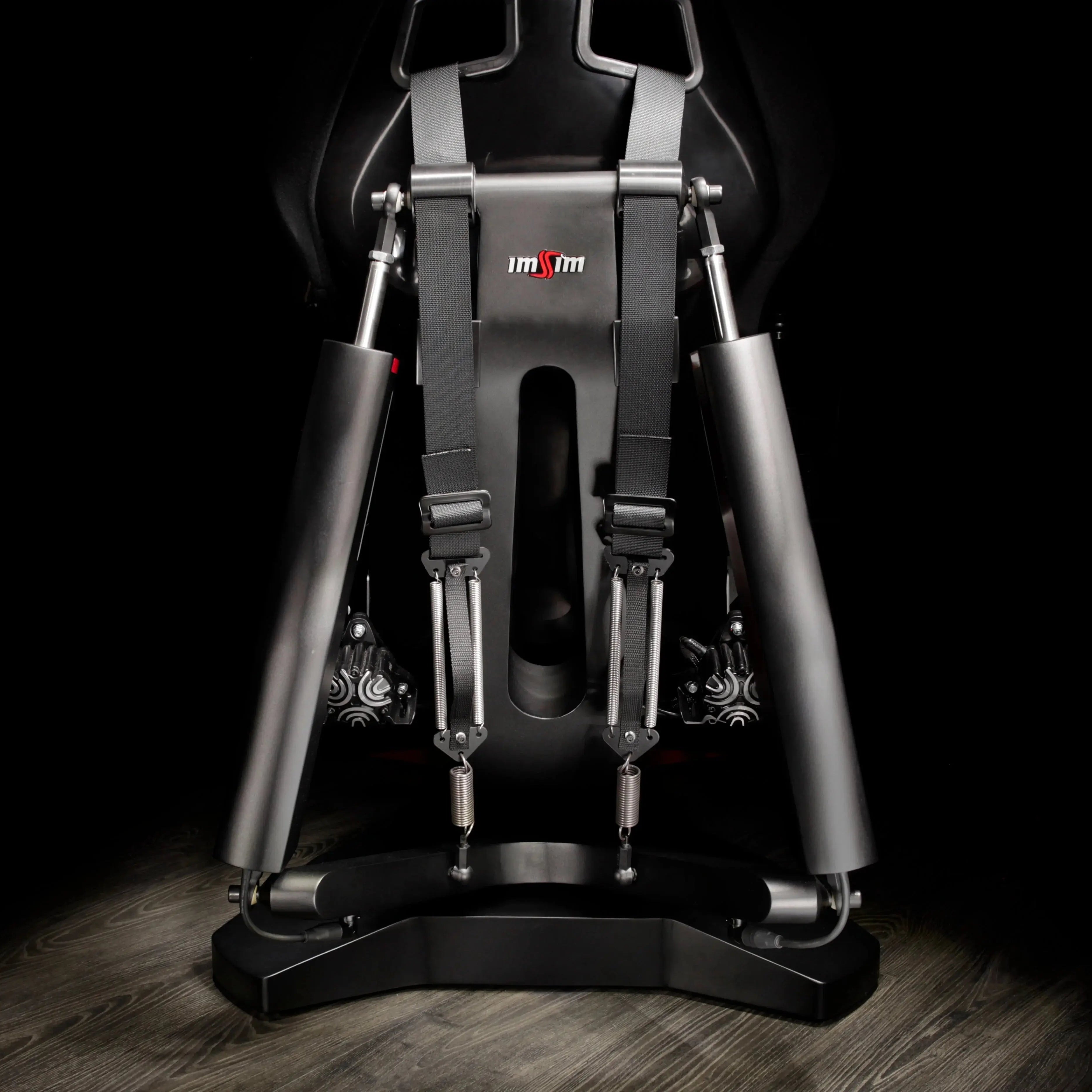 EXTREME SIMRACING ALMA BY IMSIM Extreme Simracing