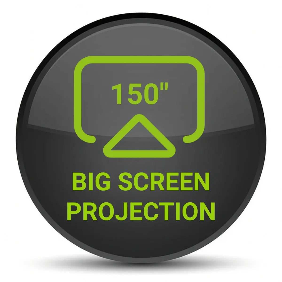 BIG SCREEN PROJECTION Extreme Sim Rental